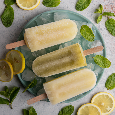 Lemon Mint Lolly 12 Pack